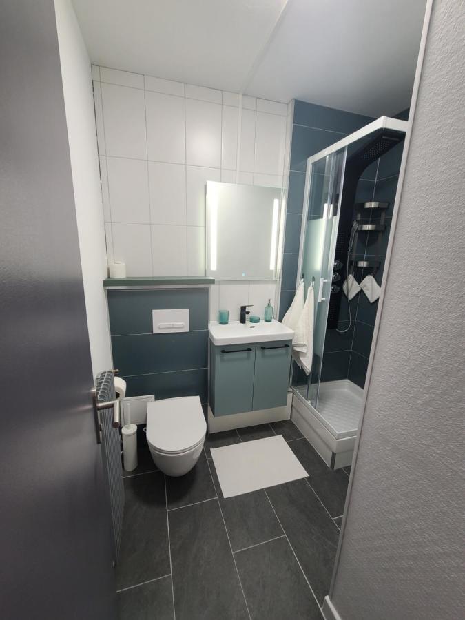 Magnifique Studio 26M2 ベルフォール エクステリア 写真